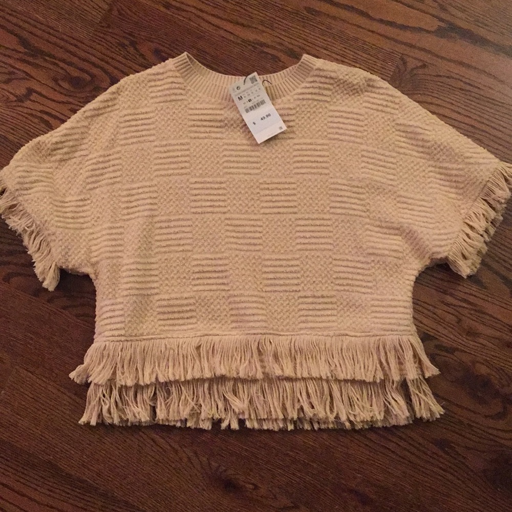 Zara cropped sweater